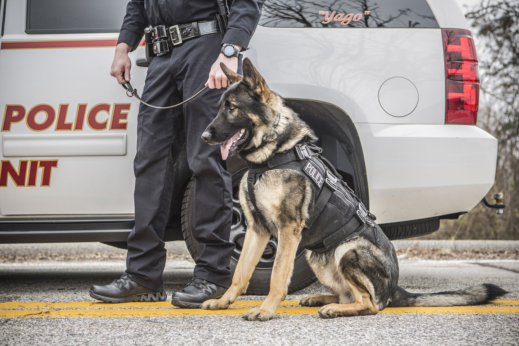 Reebok Duty K9 Tactical  | John Fedele Photography
