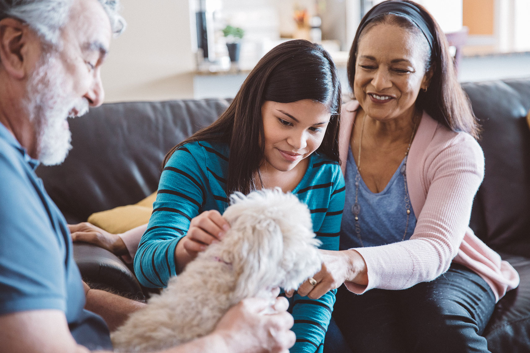 Grandparents and granddaughter playing with dog |  Centene | John Fedele Lifestyle Photography