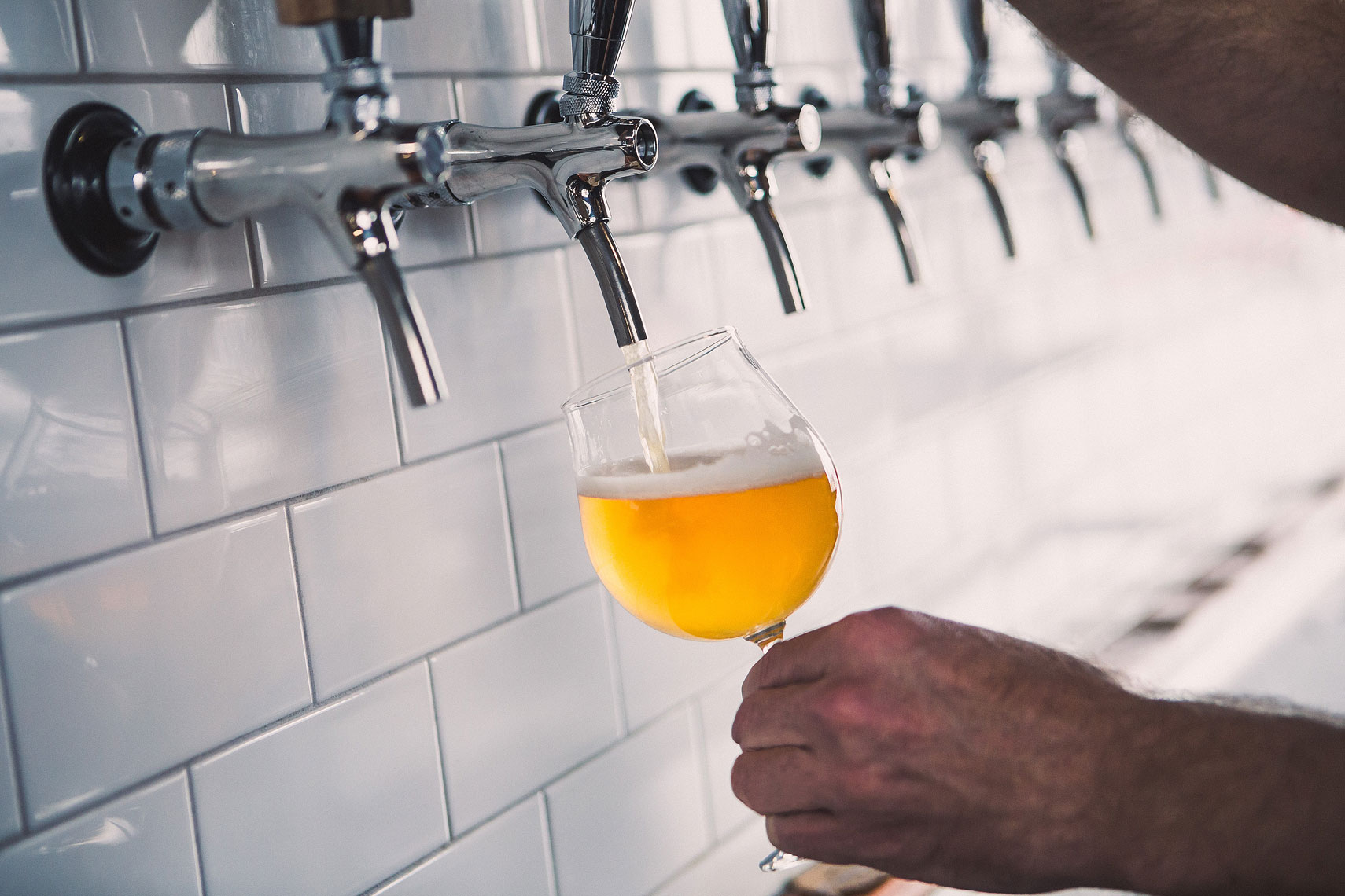 Beer being poured into a glass | Side Project Brewery | John Fedele Photography 